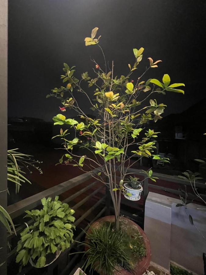 Sunflower Homestay Хайфонг Екстериор снимка